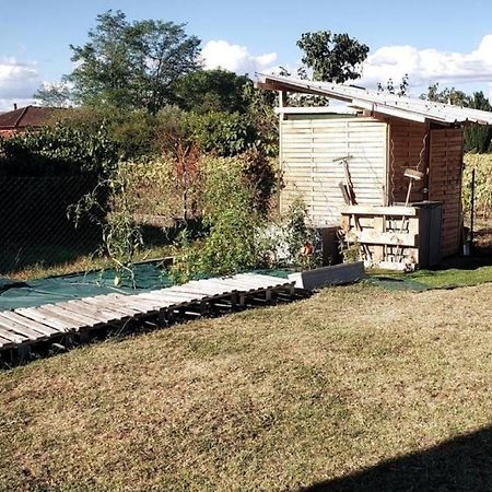 Maison Familiale - Menage, Serviettes, Draps Inclus Gaillac Eksteriør billede